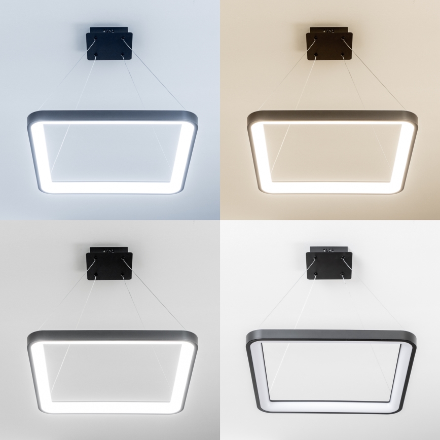 Brilagi - LED hämardatav kaabliga riputatav lühter FALCON SLIM LED/50W/230V 3000-6500K 50x50 cm must + kaugjuhtimispult