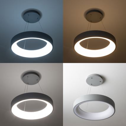 Brilagi - LED-hämardatav rippvalgusti riputuskaabliga FALCON LED/40W/230V 3000-6500K Ø 45 cm hall + kaugjuhtimispult