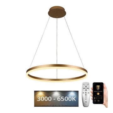 Brilagi - hämardatav LED-rippvalgusti kaablil CIRCLE LED/42W/230V 3000-6500K Ø 60 cm + kaugjuhtimispult