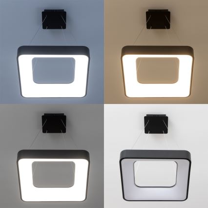 Brilagi - hämardatav LED-rippvalgusti kaabliga FALCON II LED/80W/230V 3000-6500K 40x40 cm must + kaugjuhtimispult