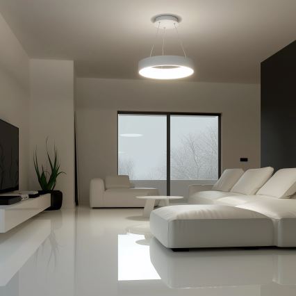 Brilagi - FALCON LED hämardatav rippvalgusti kaabliga LED/40W/230V 3000-6500K Ø45 cm valge + kaugjuhtimispult