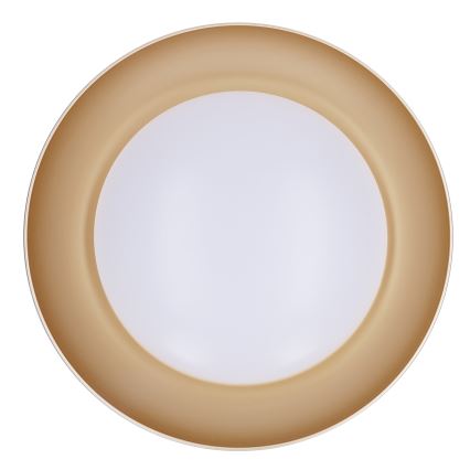 Brilagi - Hämardatav LED-laelamp ALVA LED/48W/230V 3000-6500K Ø 51 cm valge + kaugjuhtimispult