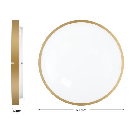 Brilagi - LED hämardatav laevalgusti GLASS POOL DOUBLE LED/80W/230V 3000-6000K 60 cm kuldne + kaugjuhtimispult