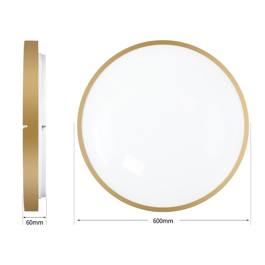 Brilagi - LED hämardatav laevalgusti GLASS POOL DOUBLE LED/80W/230V 3000-6000K 60 cm kuldne + kaugjuhtimispult