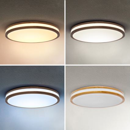 Brilagi - Hämardatav LED laelamp MOLINA LED/60W/230V 3000-6500K tamm, läbimõõt 58 cm + kaugjuhtimispult