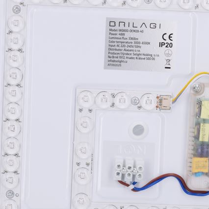 Brilagi - NAOMI LED hämardatav laelamp 48 W, 230 V, 3000–6500 K, läbimõõt 39 cm, must + kaugjuhtimispult