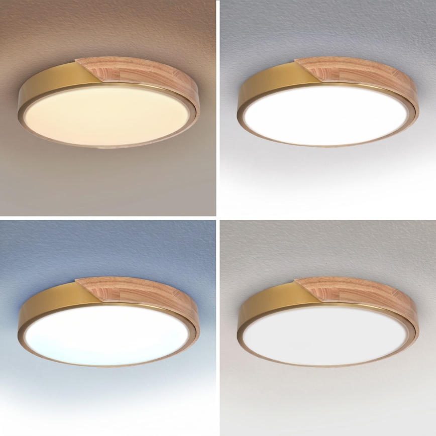 BRILAGI - LED hämardatav laelamp PILANA LED/48W/230V 3000-6500K tamm/kuldne, läbimõõt 40 cm + kaugjuhtimispult