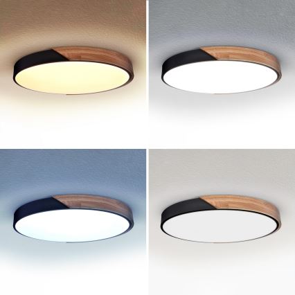 Brilagi - Hämardatav laelamp PILANA LED/60W/230V 3000-6500K tamm/must läbimõõt 60 cm + kaugjuhtimispult
