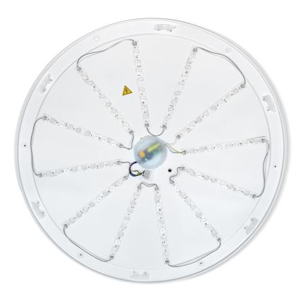 Brilagi - Hämardatav LED-laelamp PILANA LED/72W/230V 3000-6500K tamm/must Ø 80 cm + kaugjuhtimispult