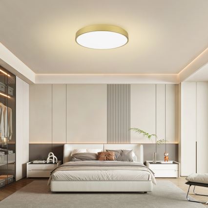 Brilagi - hämardatav LED-laelamp POOL SMART LED/100W/230V 3000-6000K 80 cm kuldne Wi-Fi Tuya + kaugjuhtimispult