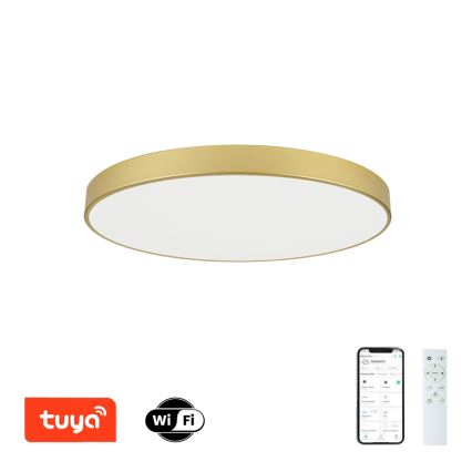 Brilagi - hämardatav LED-laelamp POOL SMART LED/100W/230V 3000-6000K 80 cm kuldne Wi-Fi Tuya + kaugjuhtimispult