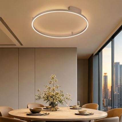 BRILAGI - LED hämardatav laelamp PORTOFINO LED/60W/230V 3000-6000K läbimõõt 80 cm beež + kaugjuhtimispult