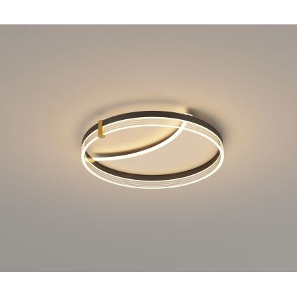 Brilagi - Hämardatav laelamp SIRELI LED/47W/230V 3000-6000K läbimõõt 40 cm + kaugjuhtimispult