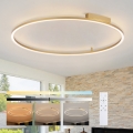 Brilagi - Hämardatav PORTOFINO LED-laelamp LED/85W/230V 3000-6000K läbimõõt 120 cm, kuldne + kaugjuhtimispult