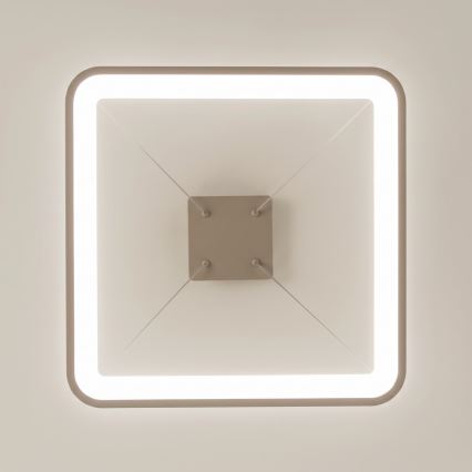 BRILAGI - LED hämardatav lühter kaabliga FALCON SLIM LED/50W/230V 3000-6500K 50x50 cm beež + kaugjuhtimispult