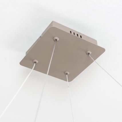 BRILAGI - LED hämardatav lühter kaabliga FALCON SLIM LED/50W/230V 3000-6500K 50x50 cm beež + kaugjuhtimispult