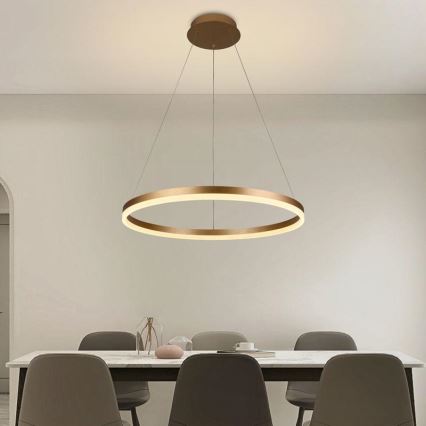 Brilagi - LED hämardatav ripplamp kaablil CIRCLE LED/42W/230V 3000-6500K läbimõõt 60 cm + kaugjuhtimispult
