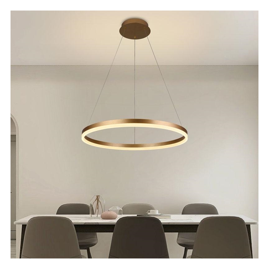 Brilagi - LED hämardatav ripplamp kaablil CIRCLE LED/42W/230V 3000-6500K läbimõõt 60 cm + kaugjuhtimispult