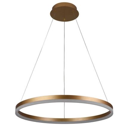 Brilagi - LED hämardatav ripplamp kaablil CIRCLE LED/42W/230V 3000-6500K läbimõõt 60 cm + kaugjuhtimispult