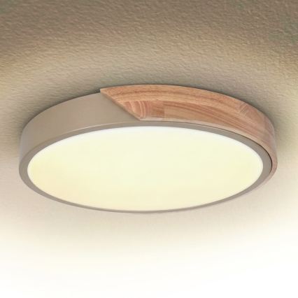 BRILAGI - Hämardatav LED-laelamp PILANA LED/48W/230V 3000-6500K tamm/beež Ø 40 cm + kaugjuhtimispult
