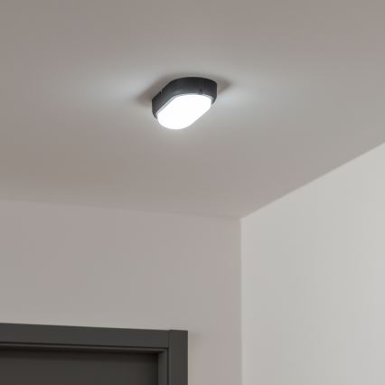 Brilagi - Heavy-Duty LED laevalgusti SIMA LED/12W/230V IP65 must