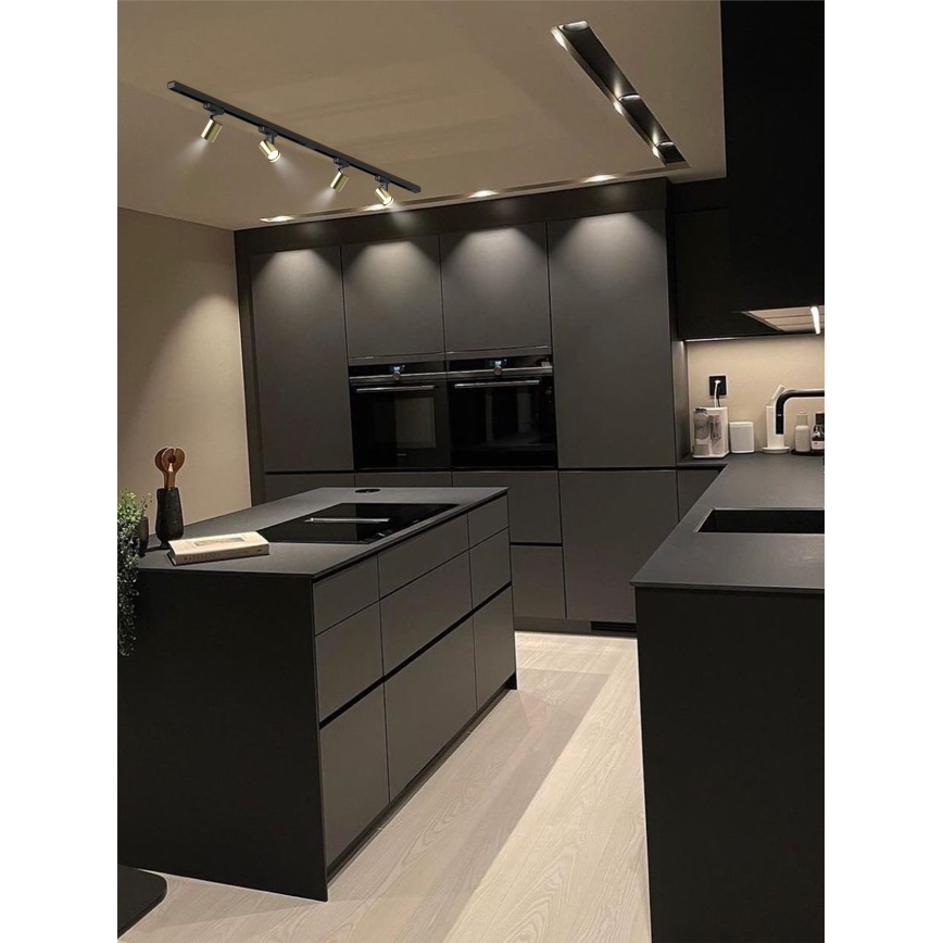 Brilagi - HUSKY-liistsüsteemi suunatav punktvalgusti 4xGU10/10W/230V must/kuldne