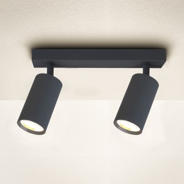 Brilagi - Kohtvalgusti SELE 2xGU10/30W/230V antratsiit