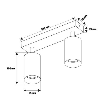 Brilagi - Kohtvalgusti SELE 2xGU10/30W/230V antratsiit