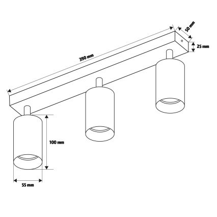 Brilagi - Kohtvalgusti SELE 3xGU10/30W/230V antratsiit