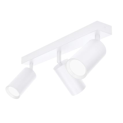 Brilagi - Kohtvalgusti SELE 3xGU10/30W/230V valge