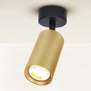 Brilagi - Kohtvalgusti SELE GOLDEN 1xGU10/30W/230V must/kuldne