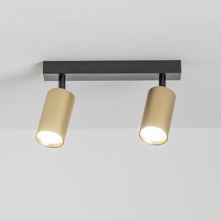Brilagi - Kohtvalgusti SELE GOLDEN 2xGU10/30W/230V must/kuldne