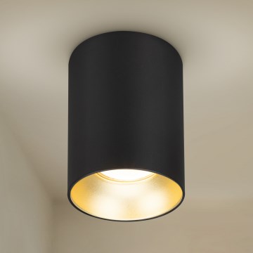 Brilagi - Kohtvalgusti TRINE 1xGU10/30W/230V must/kuldne