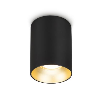 Brilagi - Kohtvalgusti TRINE 1xGU10/30W/230V must/kuldne