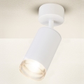 Brilagi - Kohtvalgusti vannituppa SELE 1xGU10/30W/230V IP44 valge