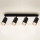 Brilagi - Kohtvalgusti vannituppa SELE 4xGU10/30W/230V IP44 must