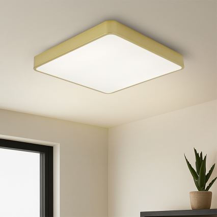 Brilagi - kuldne LED-laevalgusti POOL LED/48W/230V 3000/4000/6000K 50x50 cm