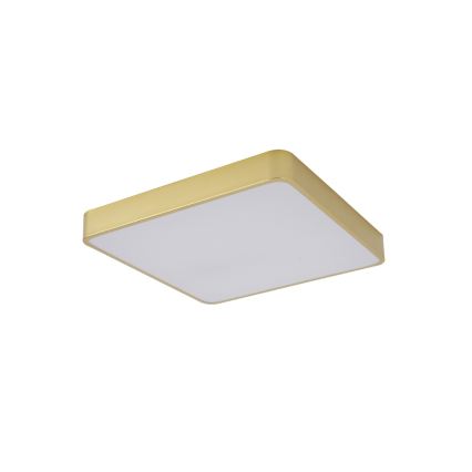 Brilagi - kuldne LED-laevalgusti POOL LED/48W/230V 3000/4500/6000K 50x50 cm