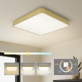 BRILAGI - kuldne LED-laevalgusti POOL SQUARE LED/48W/230V 3000/4000/6000K 50x50 cm