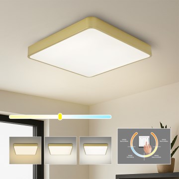 BRILAGI - kuldne LED-laevalgusti POOL SQUARE LED/48W/230V 3000/4000/6000K 50x50 cm