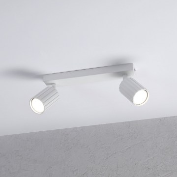 Brilagi - lae suunavalgusti CRISPINA 2xGU10/10W/230V valge