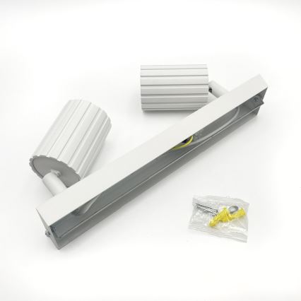 Brilagi - lae suunavalgusti CRISPINA 2xGU10/10W/230V valge