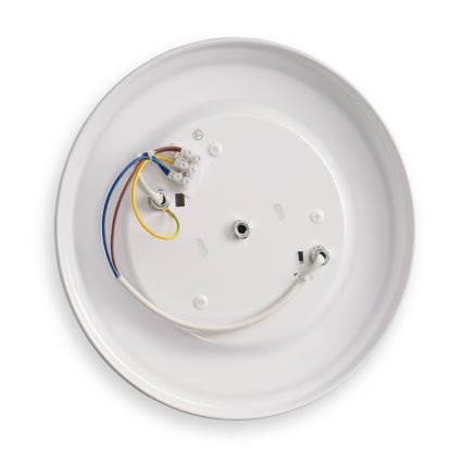 BRILAGI - laelamp FRESCO 2xE27/40W/230V läbimõõt 30 cm vaskne
