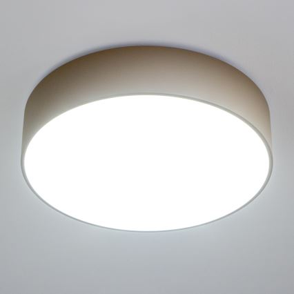 BRILAGI - Laelamp POOL 4xE27/15W/230V Ø 50 cm IP54 beež