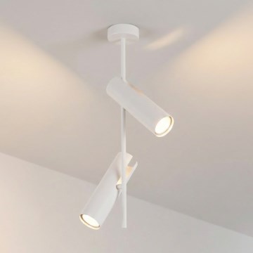 Brilagi - Laelamp varrega BRANCH 2xGU10/30W/230V valge