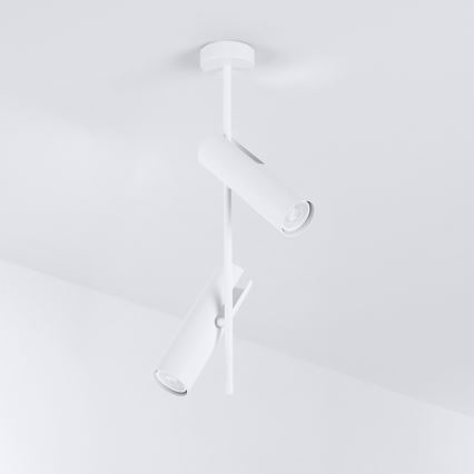 BRILAGI - Laelamp varrega BRANCH 2xGU10/30W/230V valge