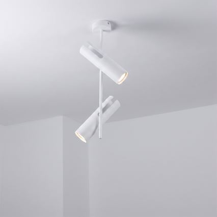 BRILAGI - Laelamp varrega BRANCH 2xGU10/30W/230V valge