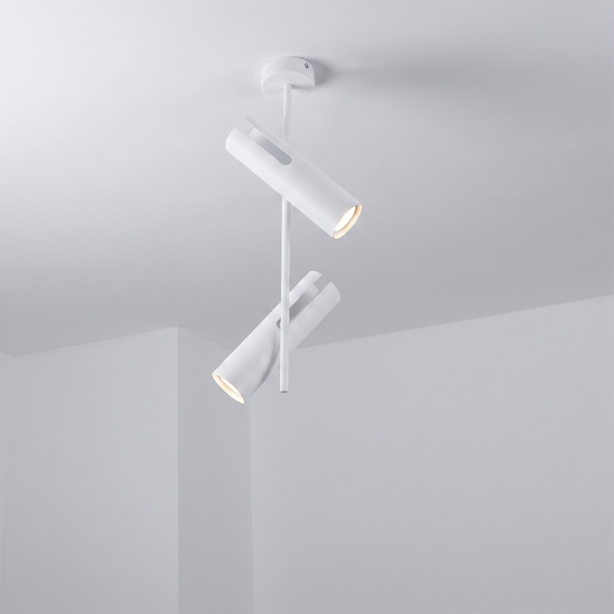 BRILAGI - Laelamp varrega BRANCH 2xGU10/30W/230V valge
