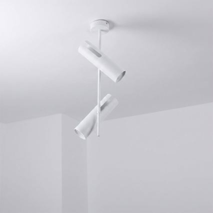 BRILAGI - Laelamp varrega BRANCH 2xGU10/30W/230V valge
