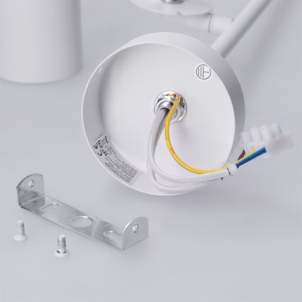 BRILAGI - Laelamp varrega BRANCH 2xGU10/30W/230V valge